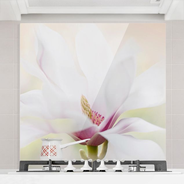 Paraschizzi con fiori Delicato fiore di magnolia
