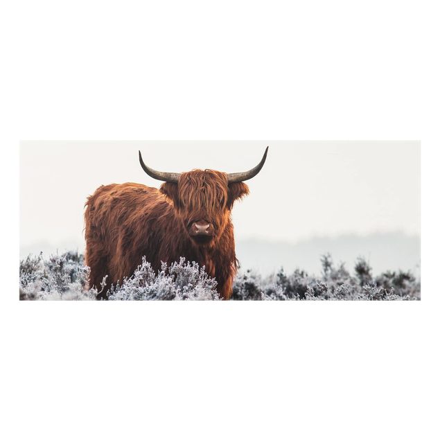 Paraschizzi in vetro - Bison In The Highlands