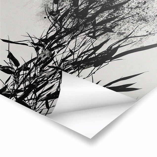 Poster in bianco e nero Mondo vegetale grafico - Bambù nero