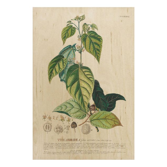 Quadri in legno con fiori Illustrazione botanica vintage Cacao