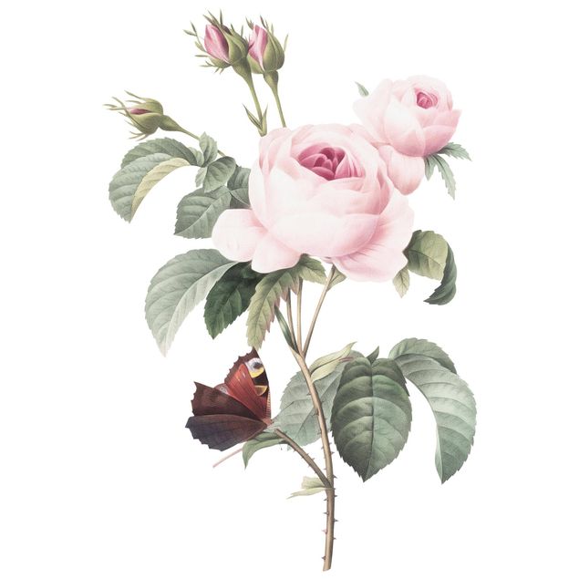 Adesivi murali fiori Illustrazione vintage di rose con pavone XXL