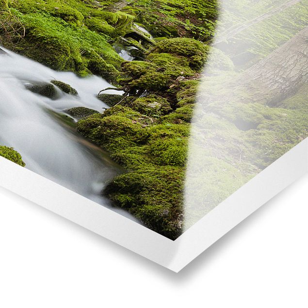 Poster natura paesaggi Pietre muschiate in Svizzera