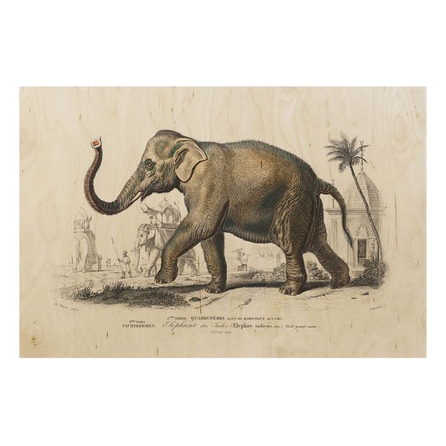 Quadri legno vintage Bacheca vintage Elefante