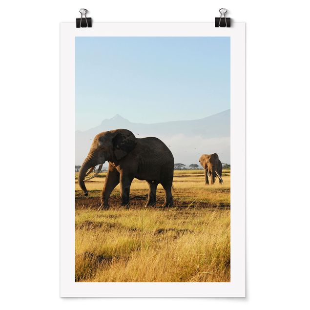 Quadro con elefante Elefanti di fronte al Kilimangiaro in Kenya
