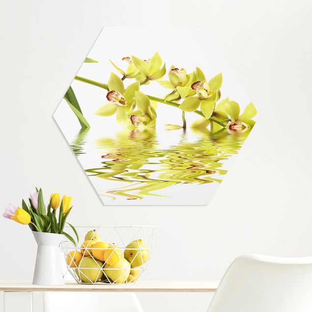 Quadri con orchidee Eleganti acque di orchidea
