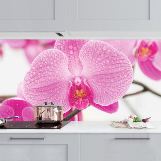 Rivestimenti per cucina con fiori Orchidea ravvicinata