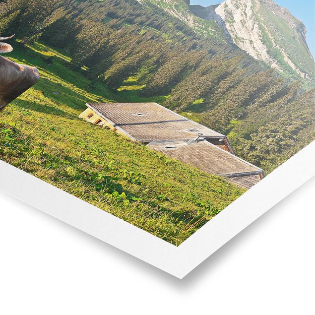 Quadri moderni   Prato alpino svizzero con mucca
