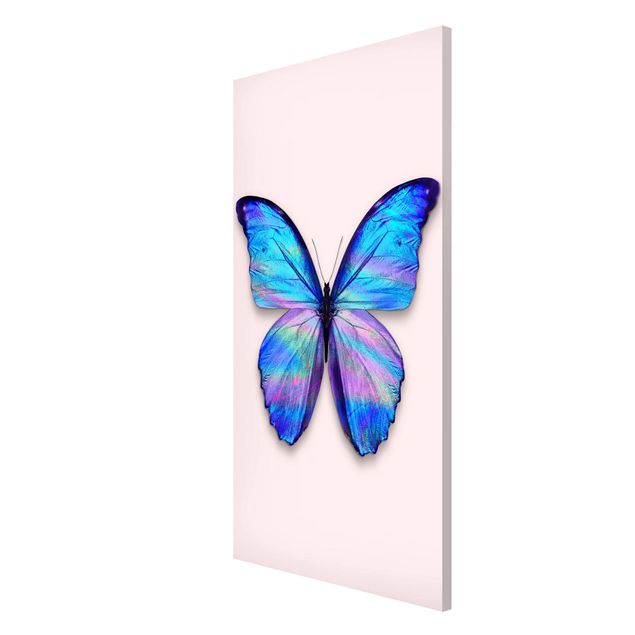 Quadri moderni   Farfalla olografica