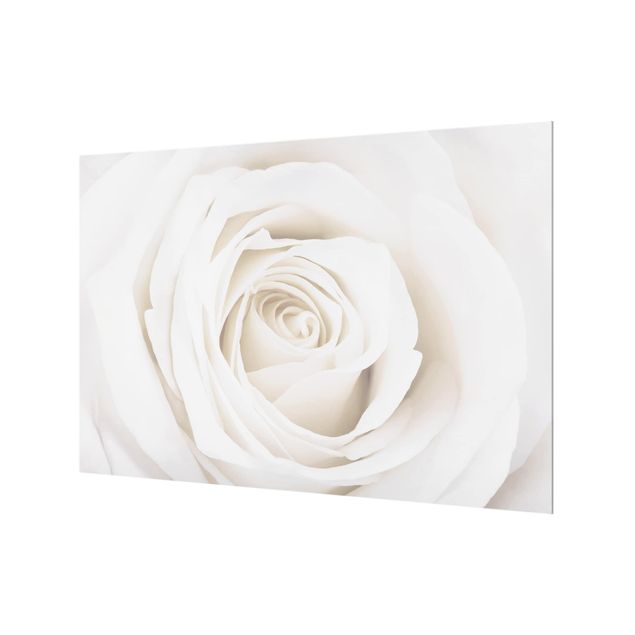 Paraschizzi in vetro - Pretty White Rose