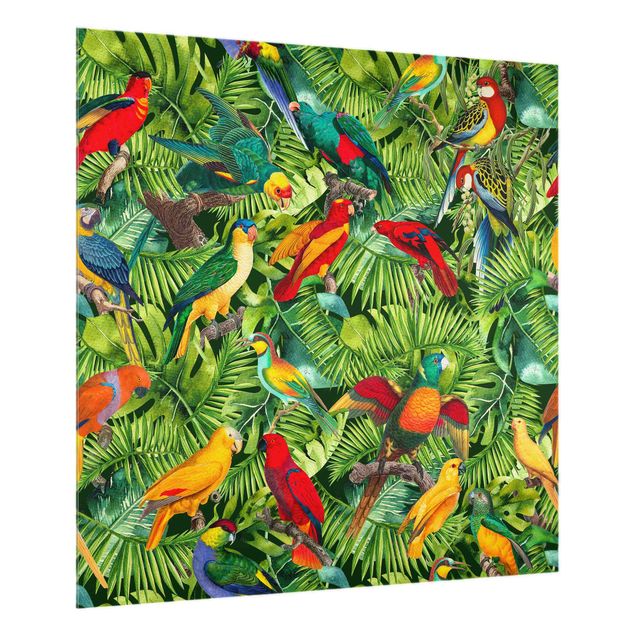 Paraschizzi con animali Collage colorato - Pappagalli nella giungla