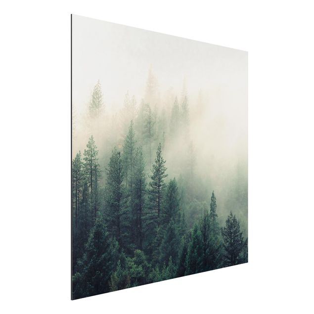 Quadro paesaggio Risveglio della foresta nebbiosa
