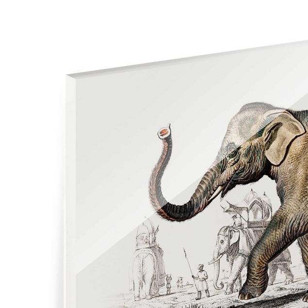 Quadri stampe Bacheca vintage Elefante