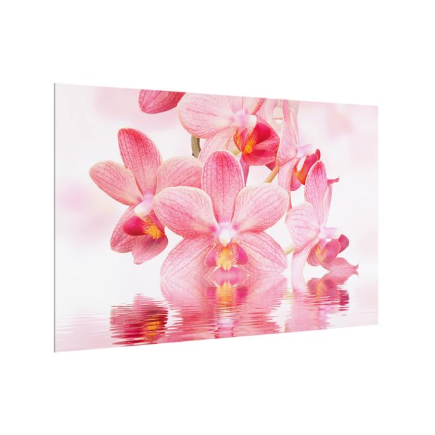 Paraschizzi cucina vetro Orchidea rosa chiaro sull'acqua
