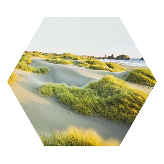 Quadro moderno Dune ed erbe sul mare
