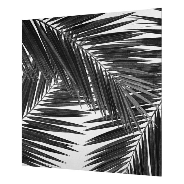 Paraspruzzi cucina Vista sulle foglie di palma in bianco e nero