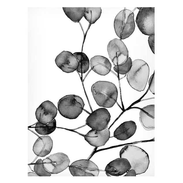 Quadro moderno Acquerello di ramoscelli di eucalipto in bianco e nero