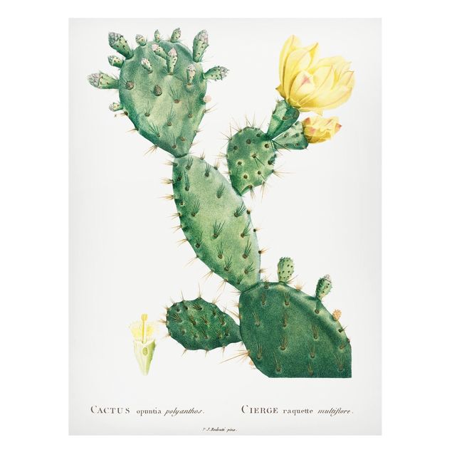 Quadri di fiori Illustrazione botanica vintage di cactus con fiore giallo