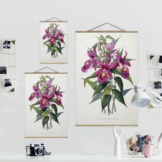 Riproduzione quadri famosi Maxim Gauci - Orchidea I