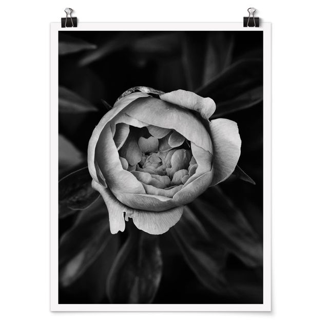 Poster bianco e nero Fiore di peonia bianco Foglie anteriori nere
