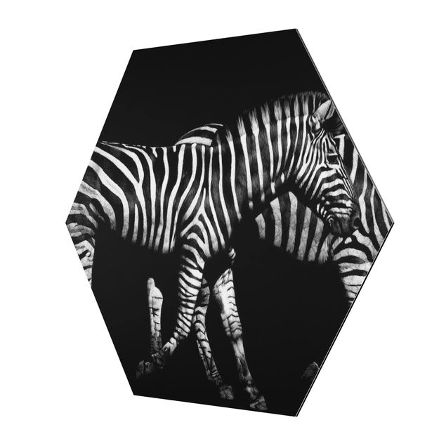 Quadri esagonali Zebra nel buio