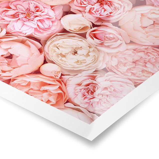 Poster - Rose Rose Coral Shabby - Verticale 3:2