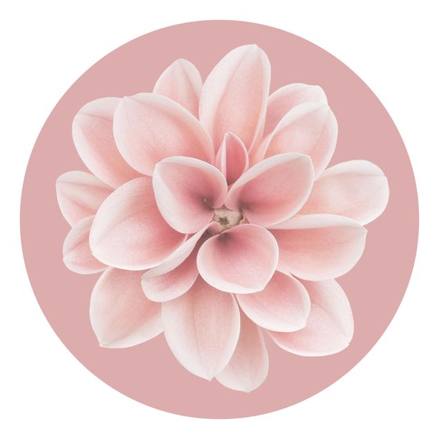 Carta da parati floreale Dalia in rosa pallido