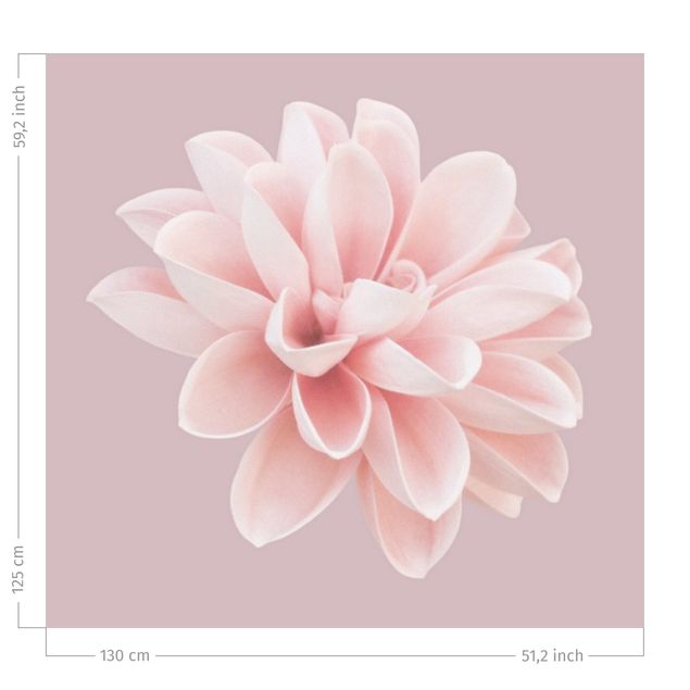 tende a fiori Dalia in lavanda rosa e bianca
