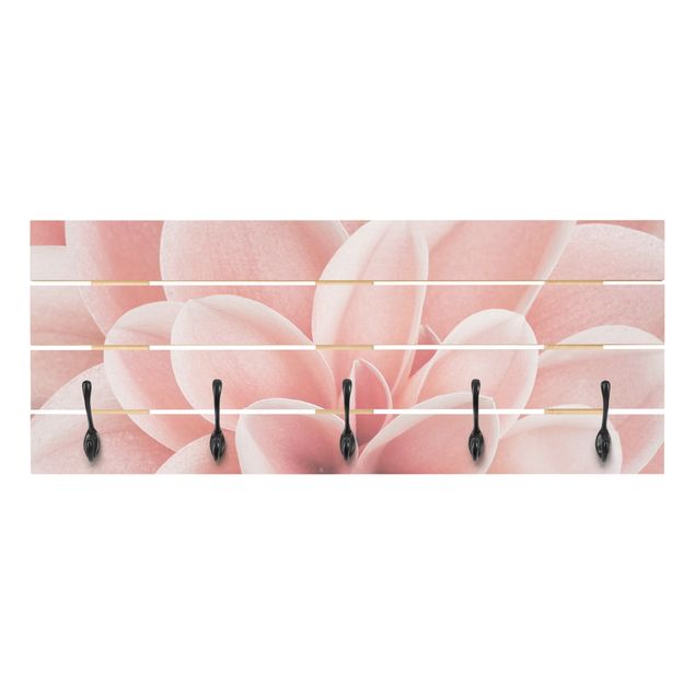 Attaccapanni rosa Dettaglio dei petali rosa della Dalia