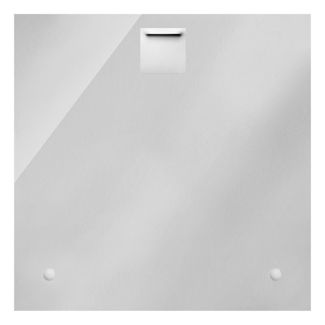 Quadro in vetro - Dalia in bianco e nero - Quadrato 1:1