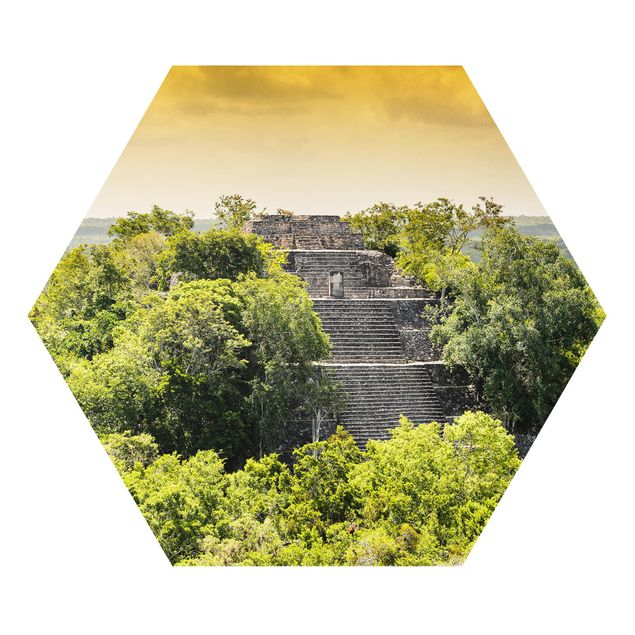 Quadri natura Piramide di Calakmul