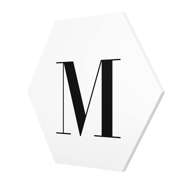Esagono in forex - Lettera Serif Bianco M