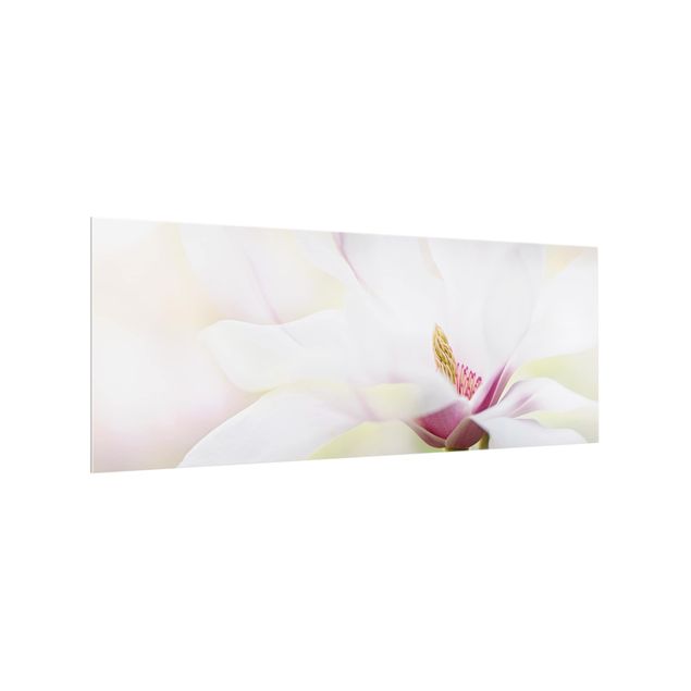 Paraschizzi cucina vetro Delicato fiore di magnolia