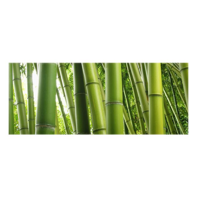 Paraschizzi cucina Alberi di bambù