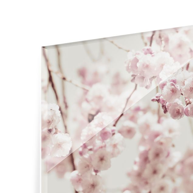 Paraschizzi in vetro - Danza di fiori di ciliegio - Quadrato 1:1