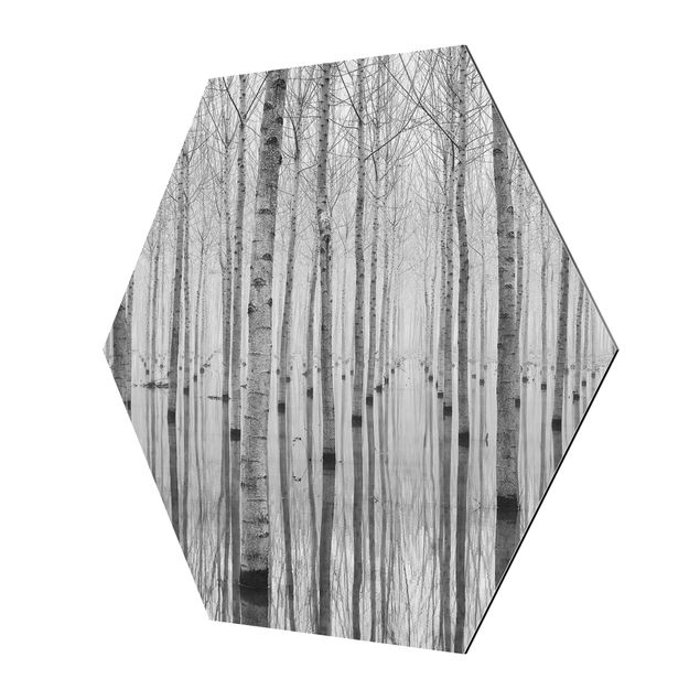 Esagono in Alluminio Dibond - Birch Forest In Aspen