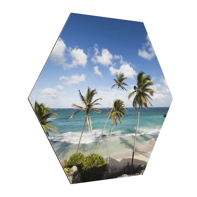 Quadri moderni   Spiaggia di Barbados