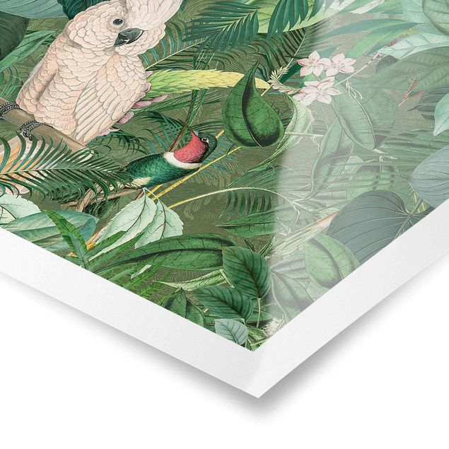 Stampe Collage vintage - Cacatua e colibrì