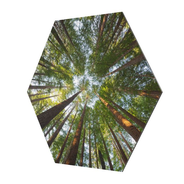 Quadro verde Cime di Sequoia