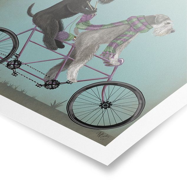 Poster vintage Ciclismo - Schnauzer in tandem