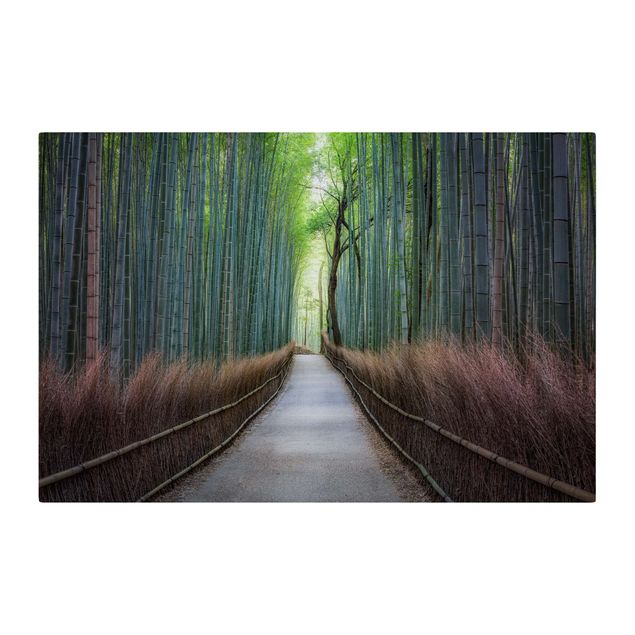 Quadro natura Sentiero tra i bambù