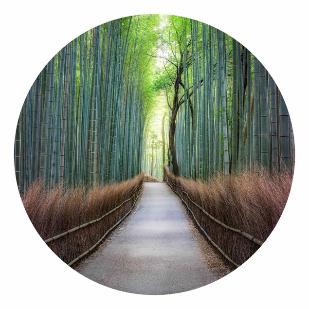 Carte da parati verdi Il sentiero attraverso il bambù