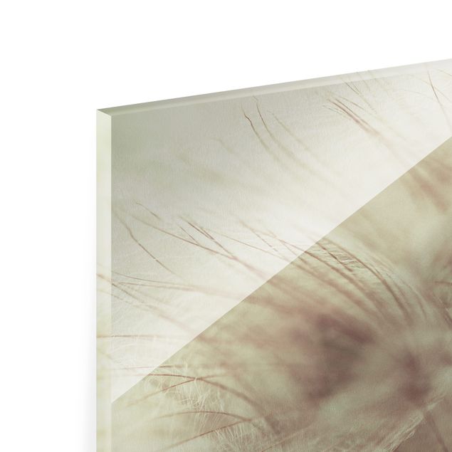Magnettafel Glas Macro ripresa dettagliata di un Soffione con effetto sfocato vintage