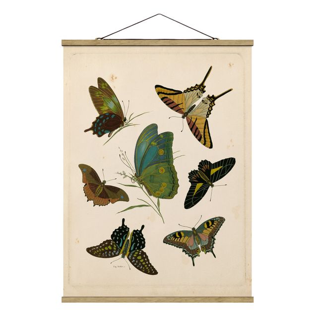 Quadri retrò Illustrazione vintage Farfalle esotiche