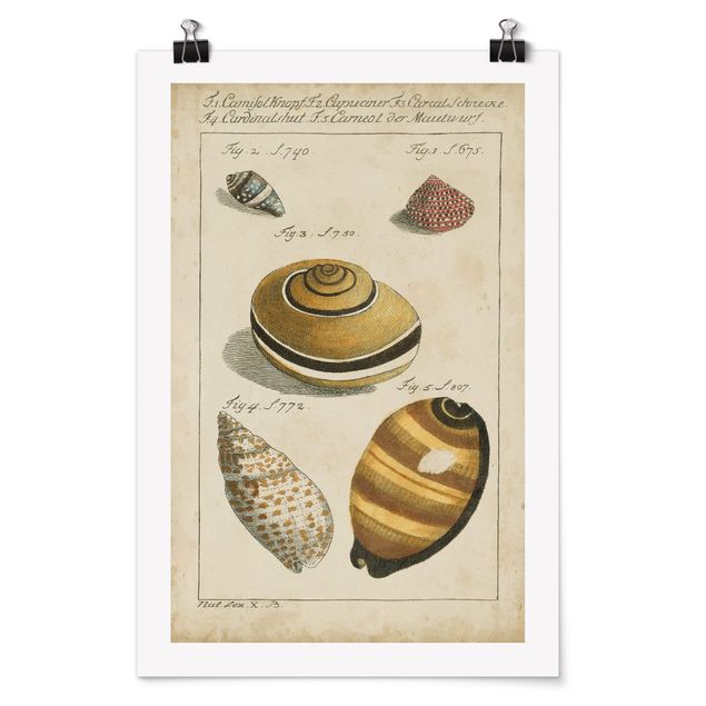 Poster spiaggia mare Disegno di vermi vintage Giallo