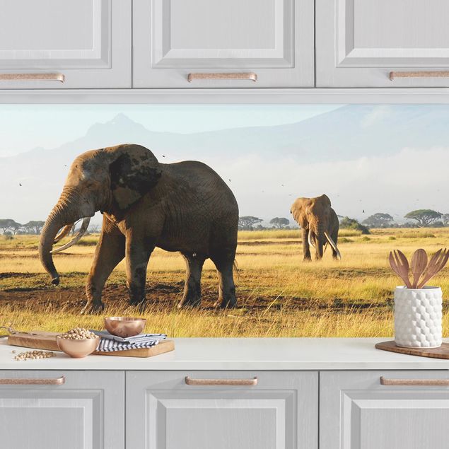 Rivestimenti per cucina con paesaggio Elefanti di fronte al Kilimangiaro in Kenya