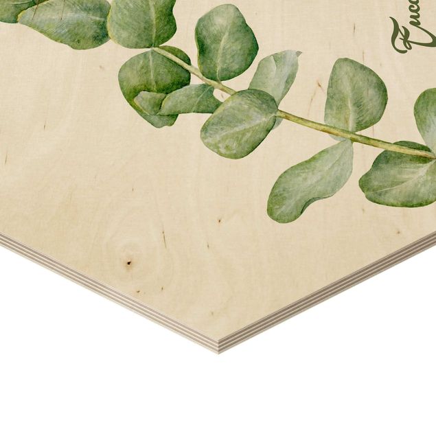 Esagono in legno - Acquerello Botanica Eucalyptus