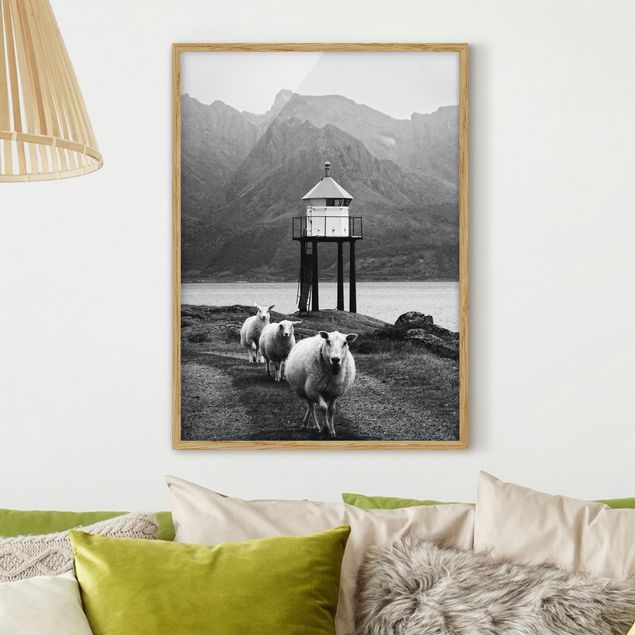 Quadri con cornice in bianco e nero Tre pecore alle Lofoten