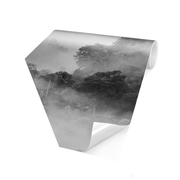 Carte da parati paesaggio Giungla nella nebbia in bianco e nero