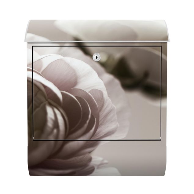Cassette della posta beige Focus su fioritura scura