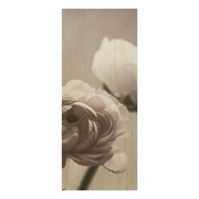 Quadri Monika Strigel Focus su fioritura scura